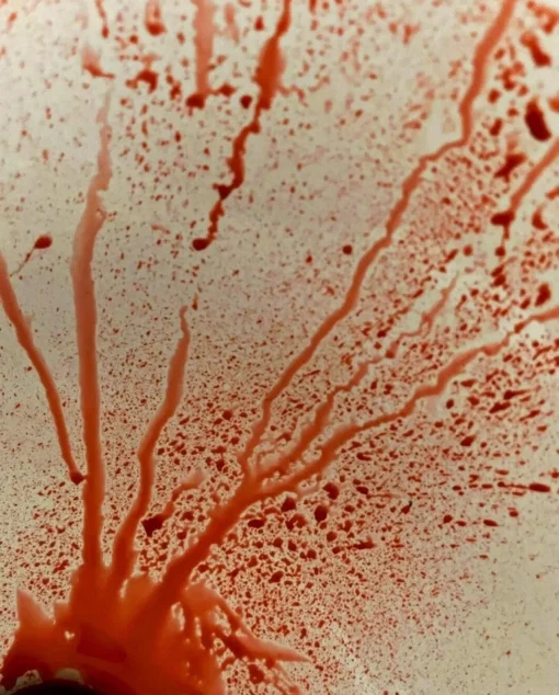 ForensicFX Studios Blood Splatter Spray Flash Sale