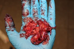 ForensicFX Studios Brain Tissue Specimen Gift Kit Cheap