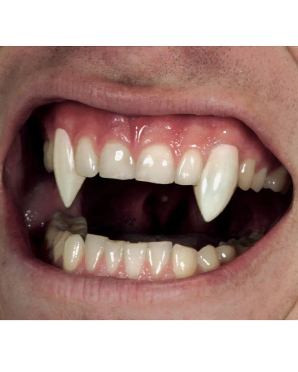 Tomfoolery Classic Vampire Fangs Clearance