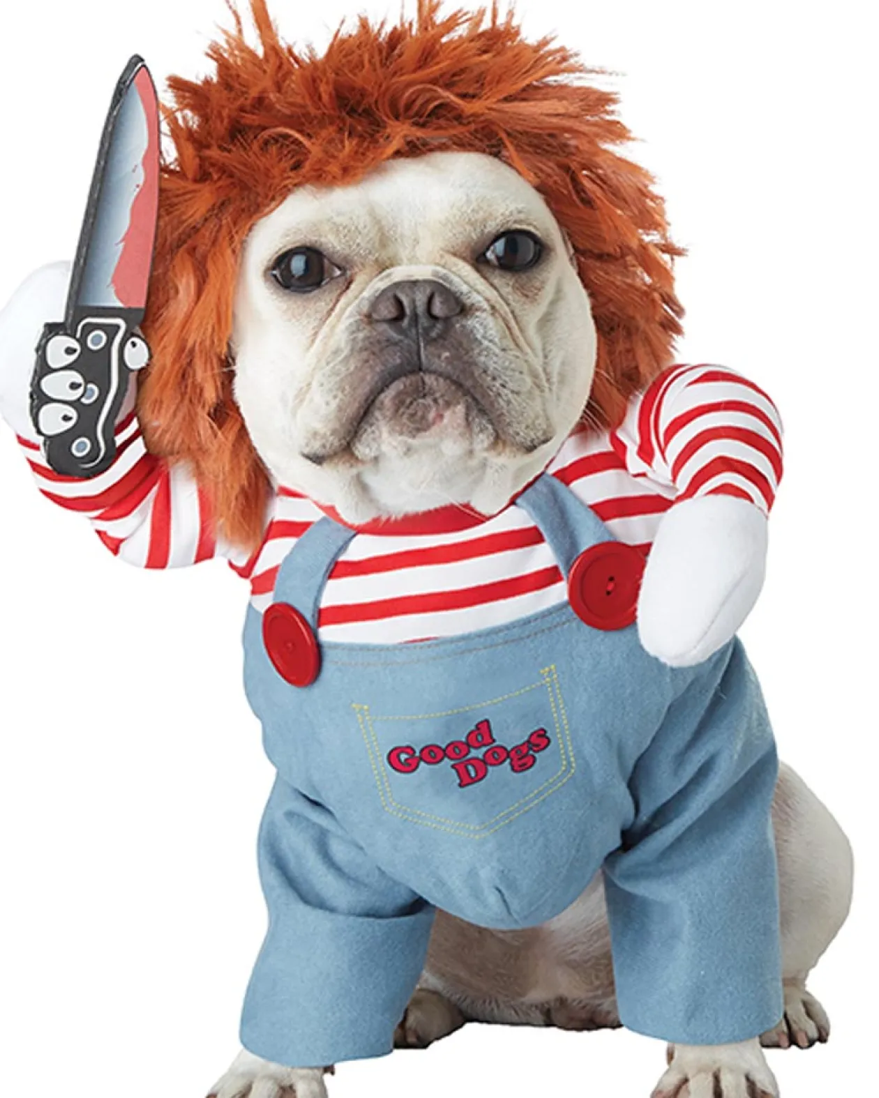 California Costumes Deadly Doll Pet Costume Flash Sale