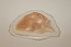 ForensicFX Studios Deep Gauged Out Eye Prosthetic Clearance