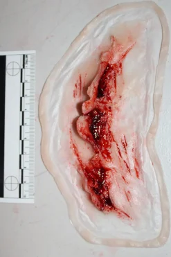 ForensicFX Studios Deep Neck Wound Prosthetic New