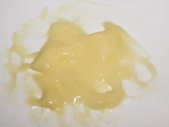 ForensicFX Studios Deep Rotting Infected Necrosis Prosthetic Clearance