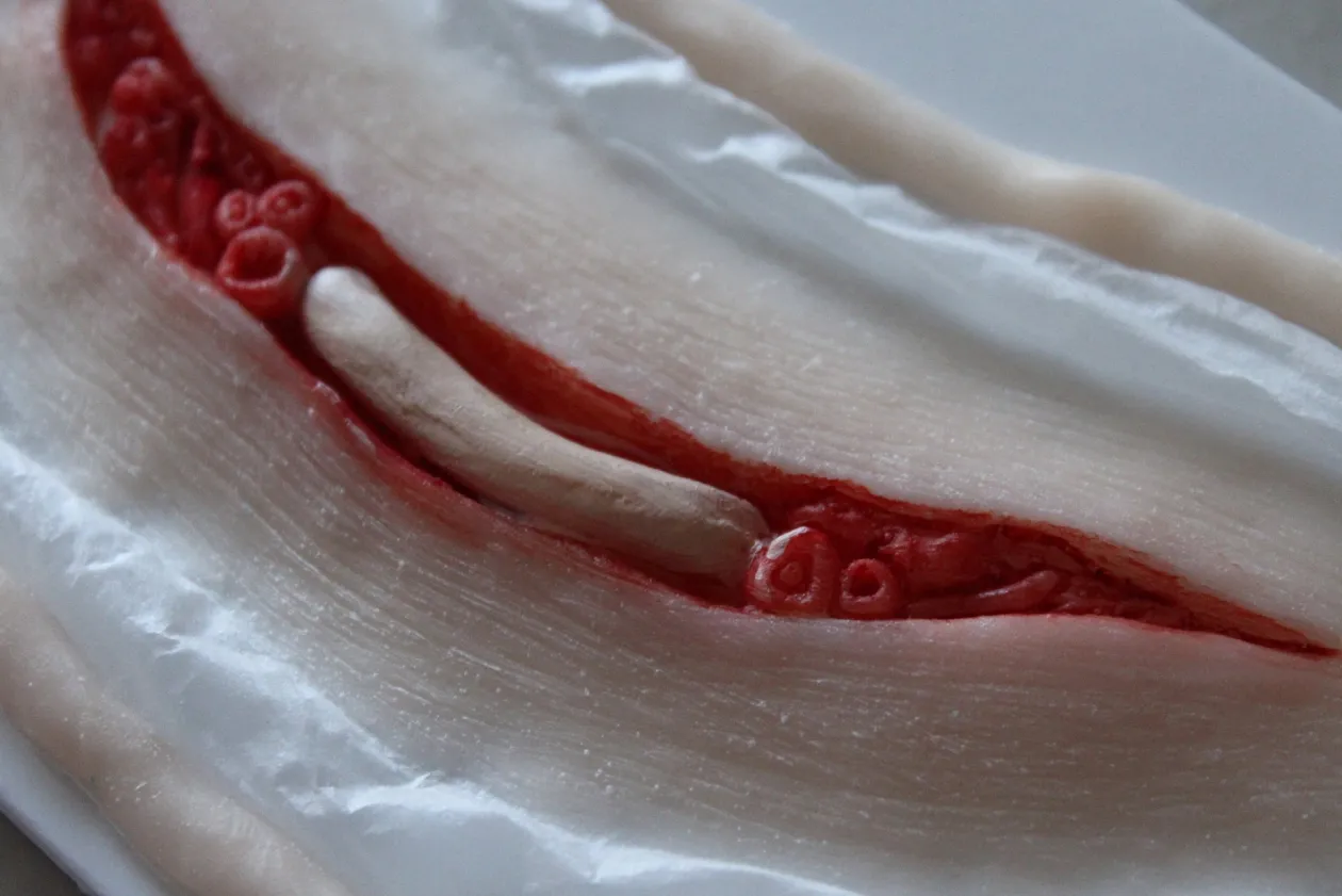 ForensicFX Studios Exposed Slit Throat Prosthetic Fashion