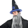 Amscan AU Fairytale Wizard Hat Shop