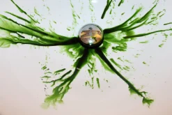 ForensicFX Studios Green Zombie Blood Hot