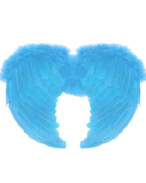 Sweidas Ice Blue Feather Small Angel Wings Store