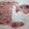 ForensicFX Studios Large Torso Skin Burn Prosthetic Fashion