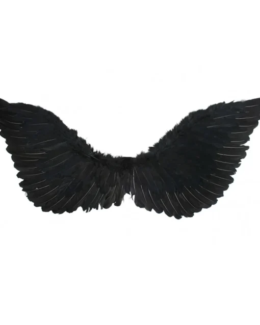 Tomfoolery Medium Black Feather Wings Shop