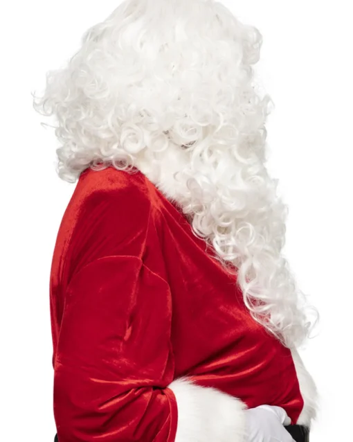 * Santa Professional Wig And Beard Set Online