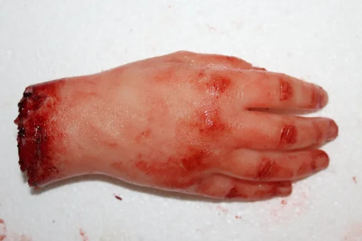 ForensicFX Studios Severed Hand Prop New