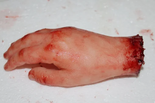 ForensicFX Studios Severed Hand Prop New