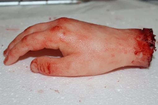 ForensicFX Studios Severed Hand Prop New