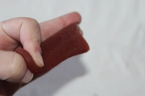 ForensicFX Studios Severed Tongue Prop Cheap