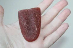 ForensicFX Studios Severed Tongue Prop Cheap
