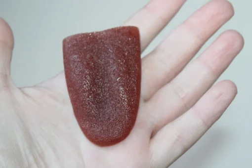 ForensicFX Studios Severed Tongue Prop Cheap