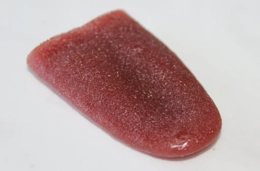 ForensicFX Studios Severed Tongue Prop Cheap