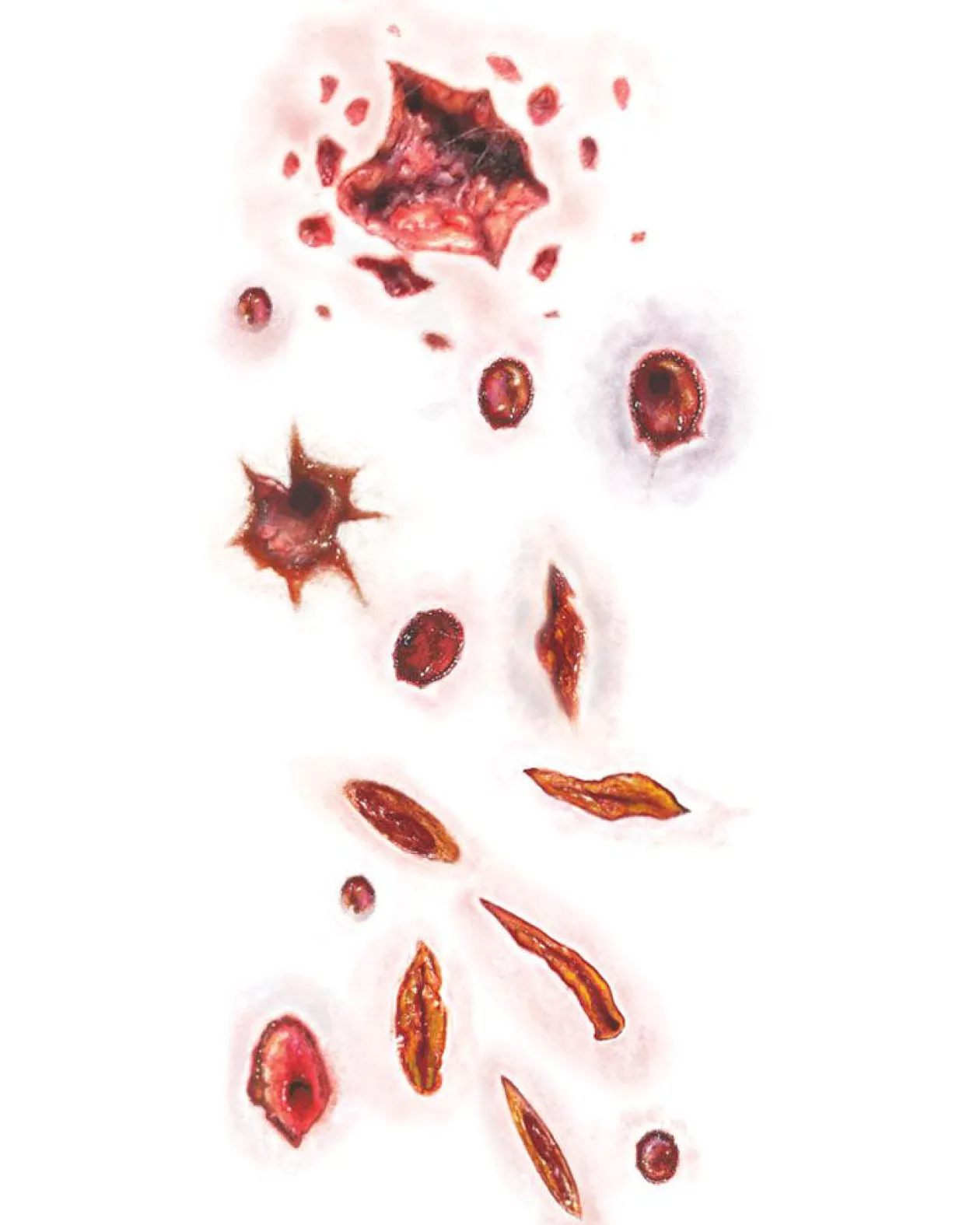 Tinsley Transfers Shot And Stabbed Fx Temporary Tattoos Discount