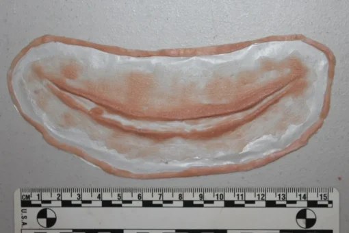 ForensicFX Studios Simple Slit Throat Prosthetic Best