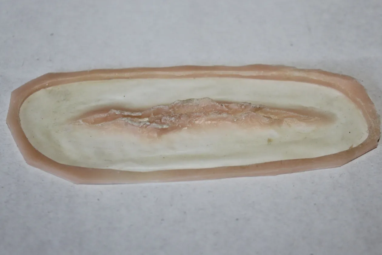 ForensicFX Studios Small Linear Gash Prosthetic Best