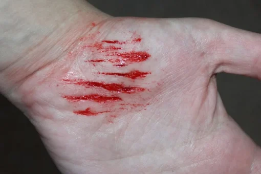 ForensicFX Studios Small Shallow Cuts Prosthetic Discount