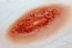 ForensicFX Studios Stab Wound Prosthetic Store
