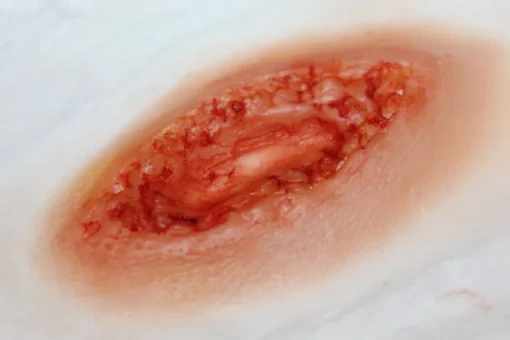 ForensicFX Studios Stab Wound Prosthetic Store