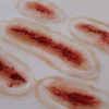 ForensicFX Studios 5X Slashed Cuts Bundle New